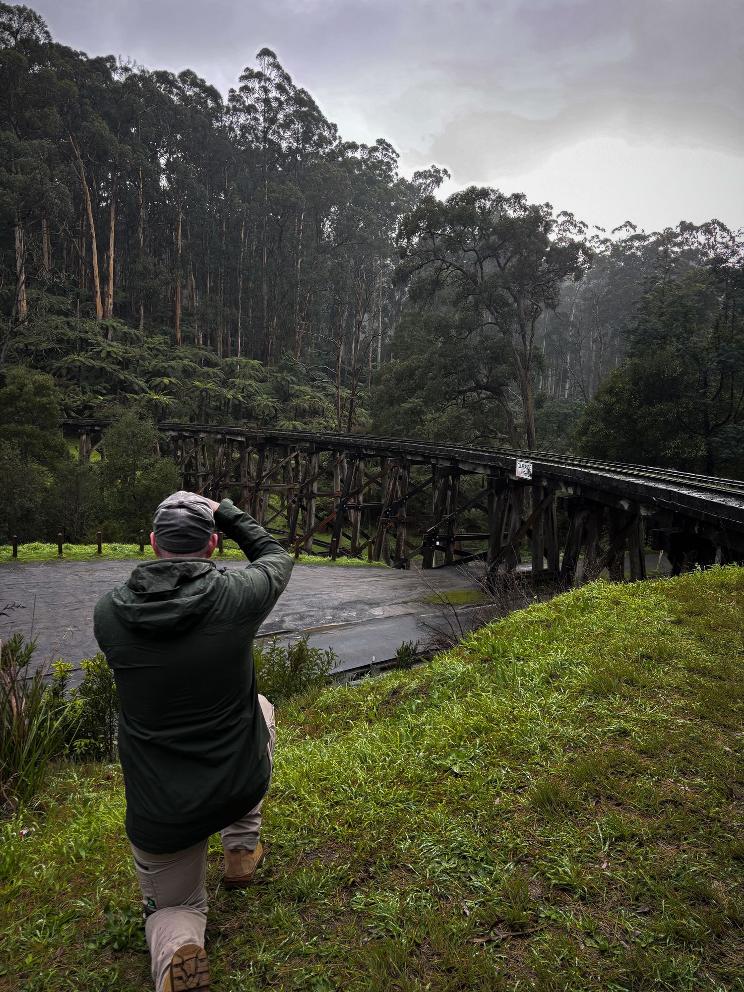 Photographer kneeling on grass capturing a historic wooden trestle bridge over a river surrounded by tall eucalyptus forest on a misty day.