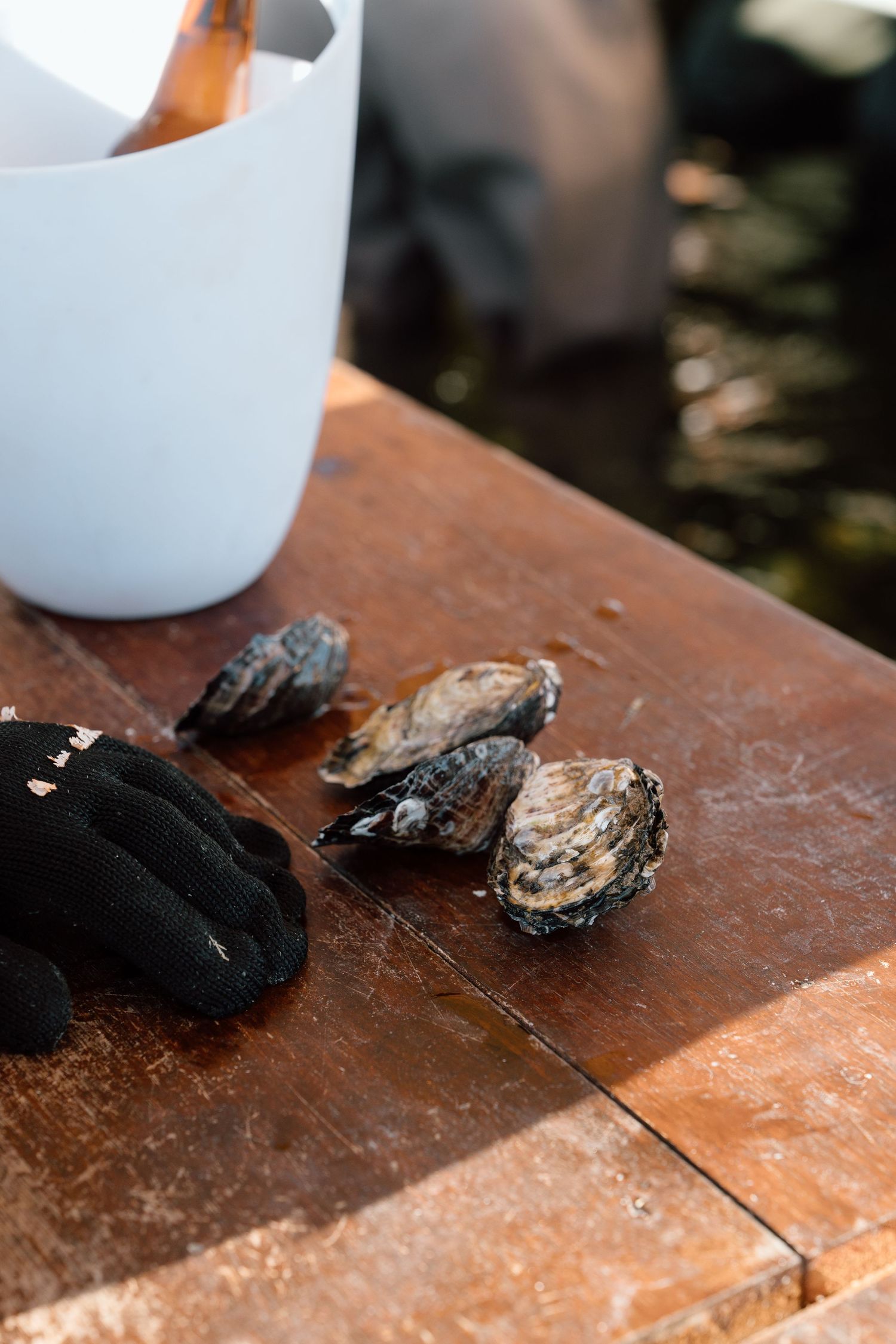 Fresh unopened oysters with black gloves on rustic wooden table beside white champagne ice bucket.