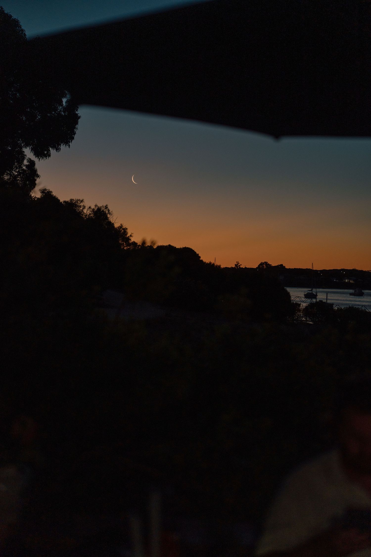Crescent moon rises over silhouetted trees and water at dusk with orange and blue sunset sky.