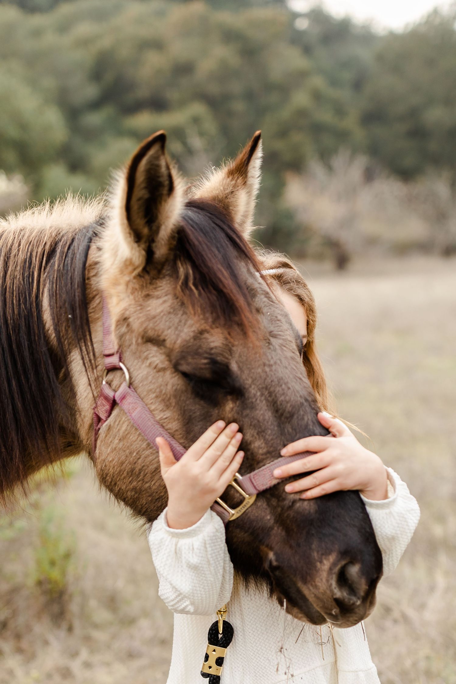 Child hugging a brown horse wearing a pink halter in a natural outdoor field setting.