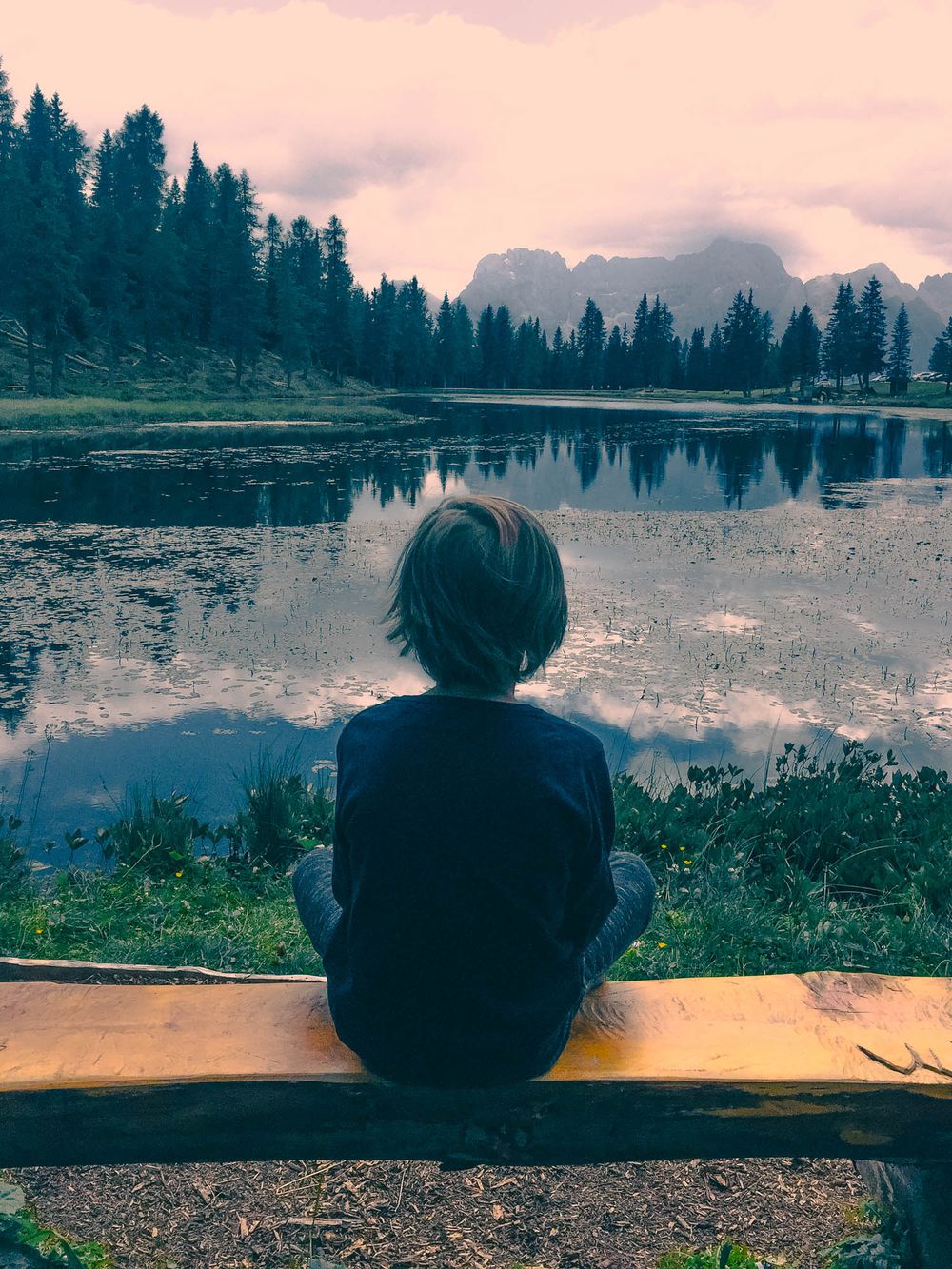 Child sitting alone on a wooden bench gazing at a serene mountain lake surrounded by pine trees and misty peaks.