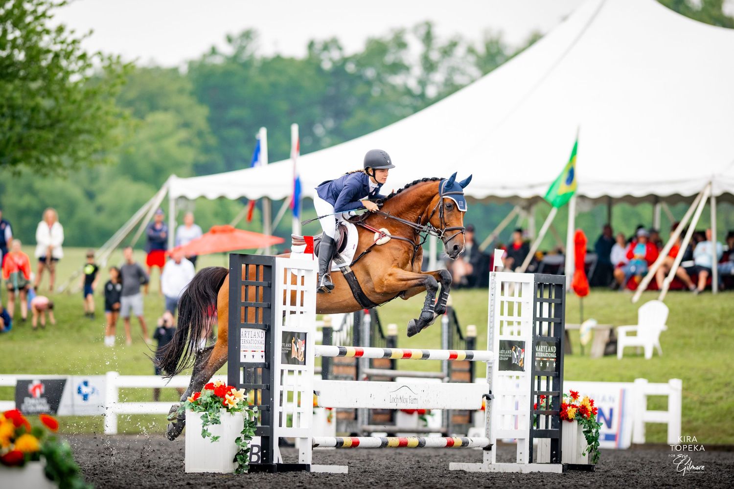 Equestrian rider on chestnut horse jumping striped fence obstacle at outdoor show jumping competition.