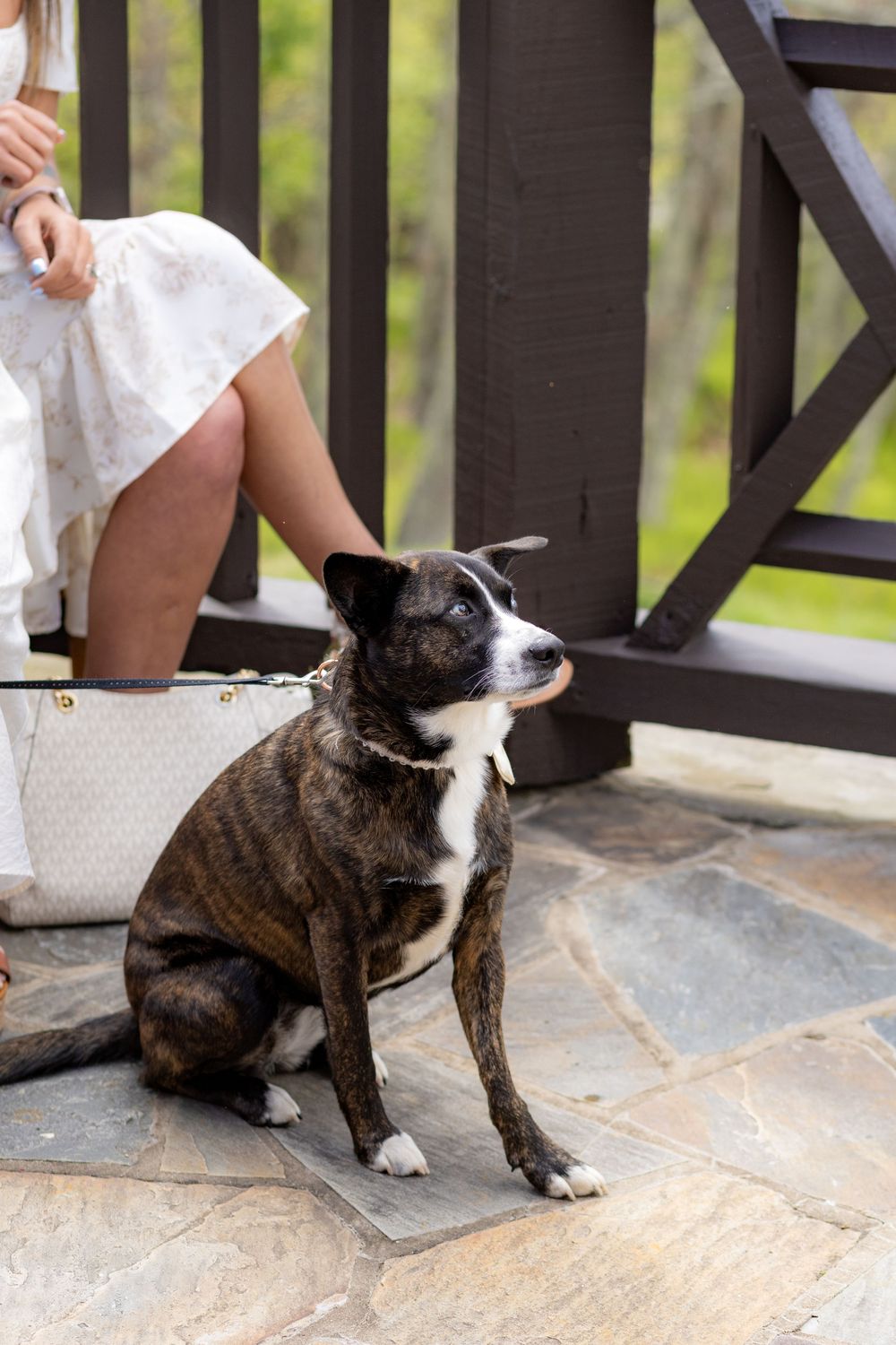 Brindle dog sitting on stone porch beside woman in white dress near wooden railing outdoors.