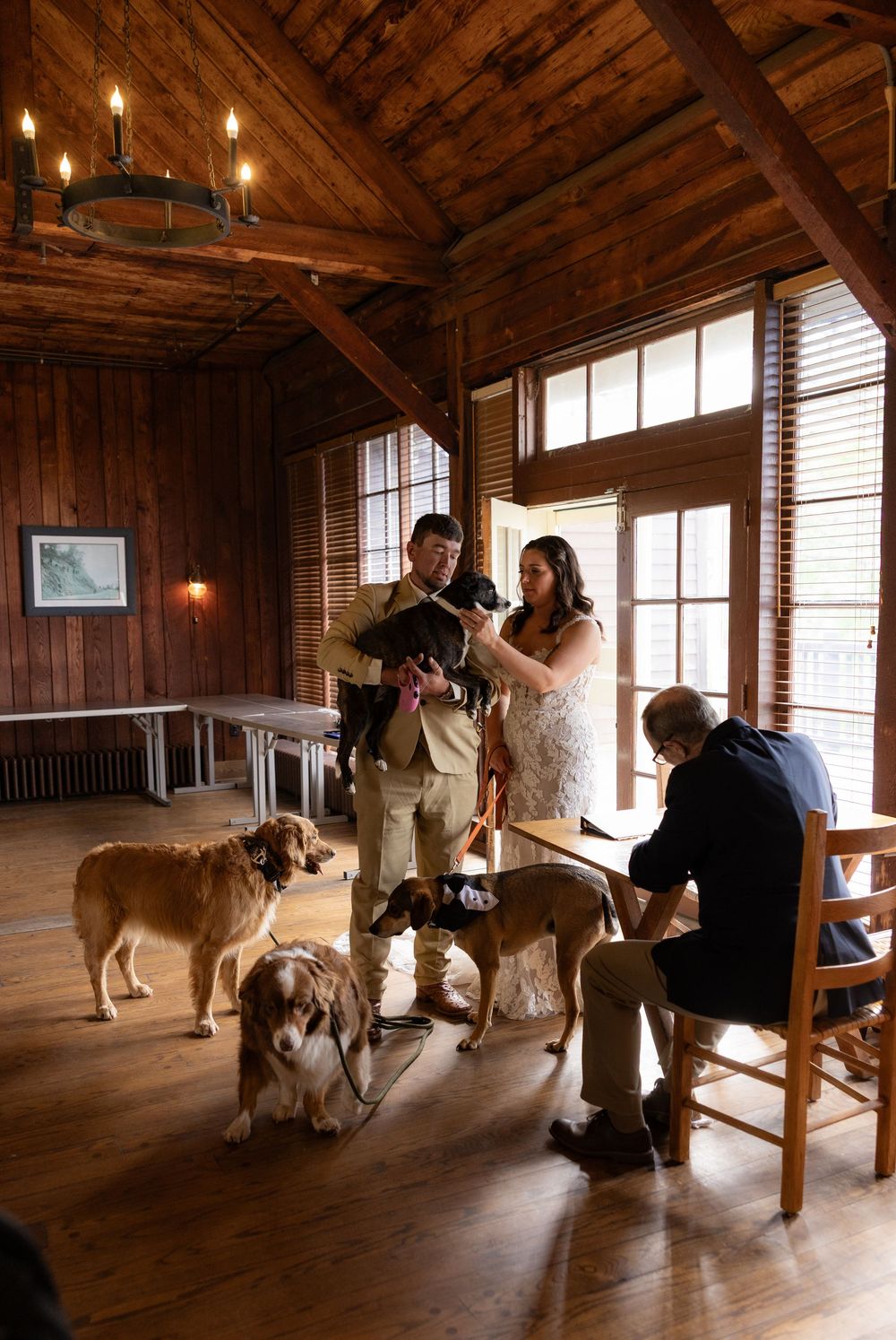 Couple holding puppy surrounded by dogs during wedding ceremony in rustic cabin.