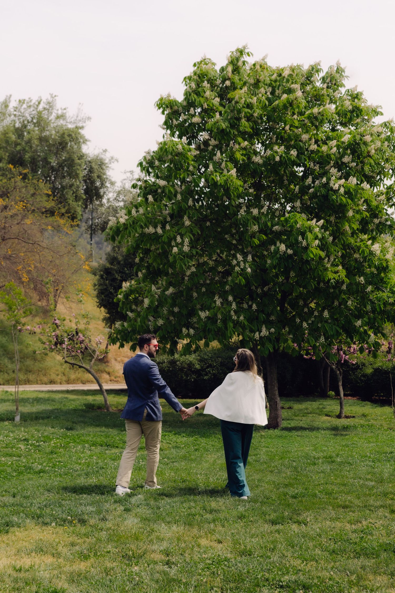 Couple holding hands walking toward large green tree on lush grass in natural park setting.