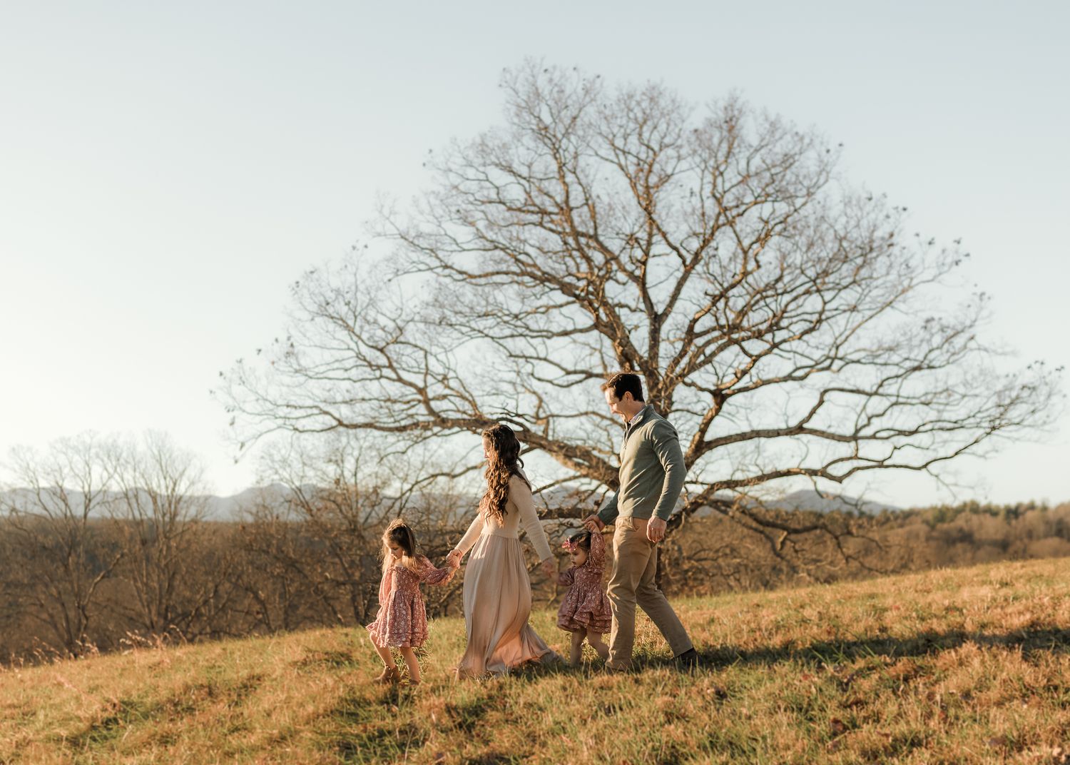Family of four holding hands near a bare tree on a golden meadow during sunset.