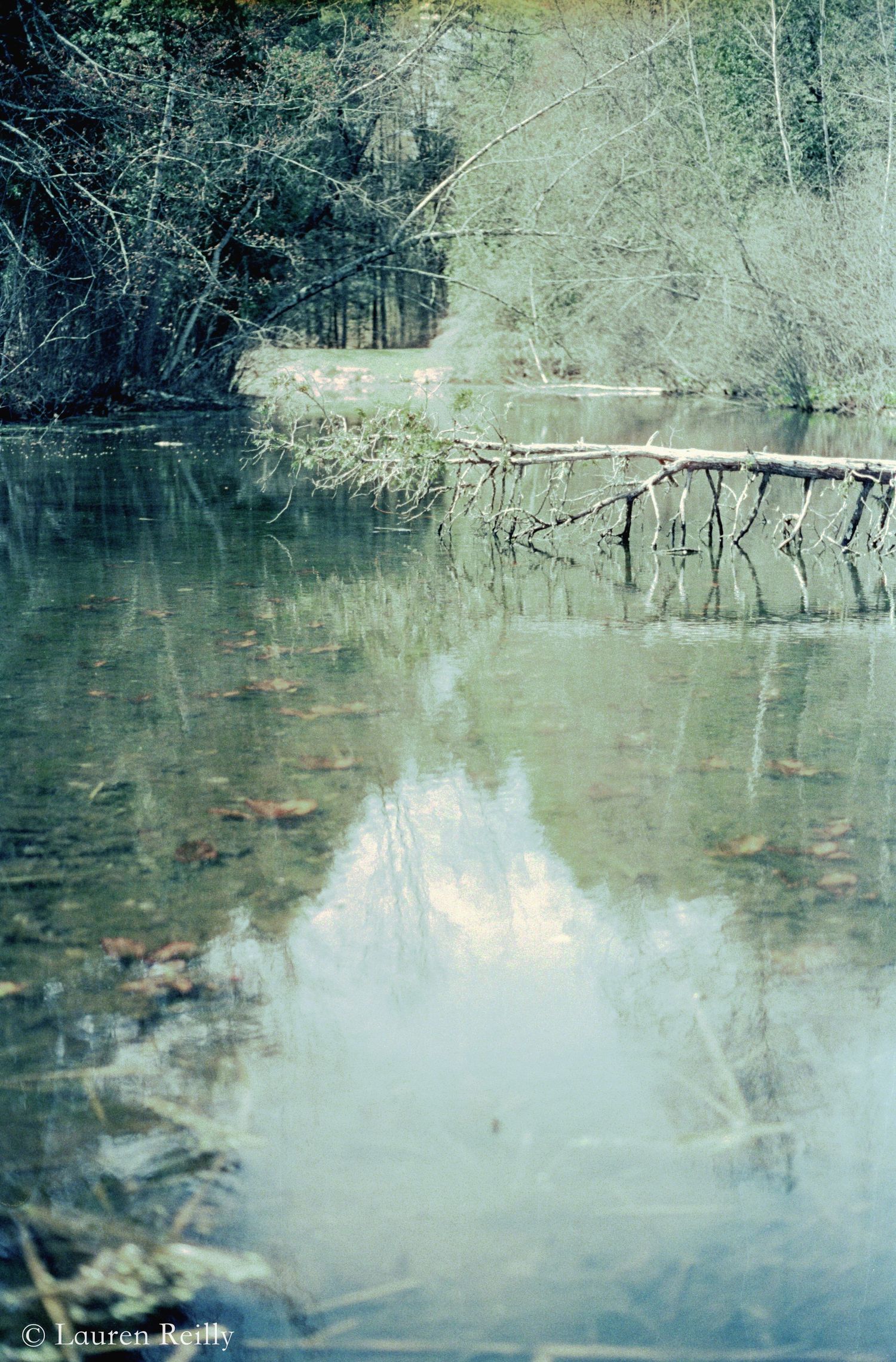 CineStill 800
