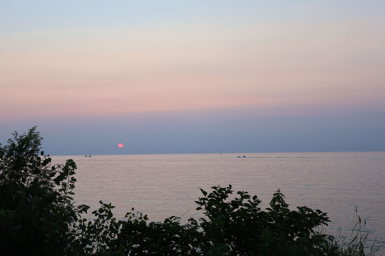 Peaceful sunset over a calm lake with a pink and purple sky and silhouetted trees.