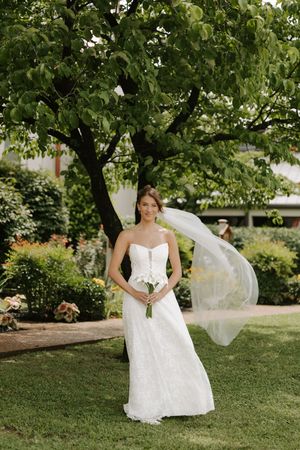 Bride in strapless white lace gown holds bouquet as veil flows in wind beneath large green tree.
