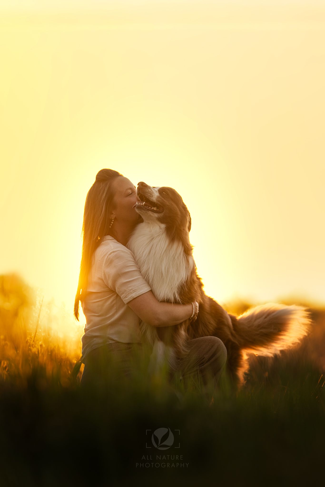 Woman hugging her Border Collie dog in a golden sunset field, sharing a tender moment outdoors.