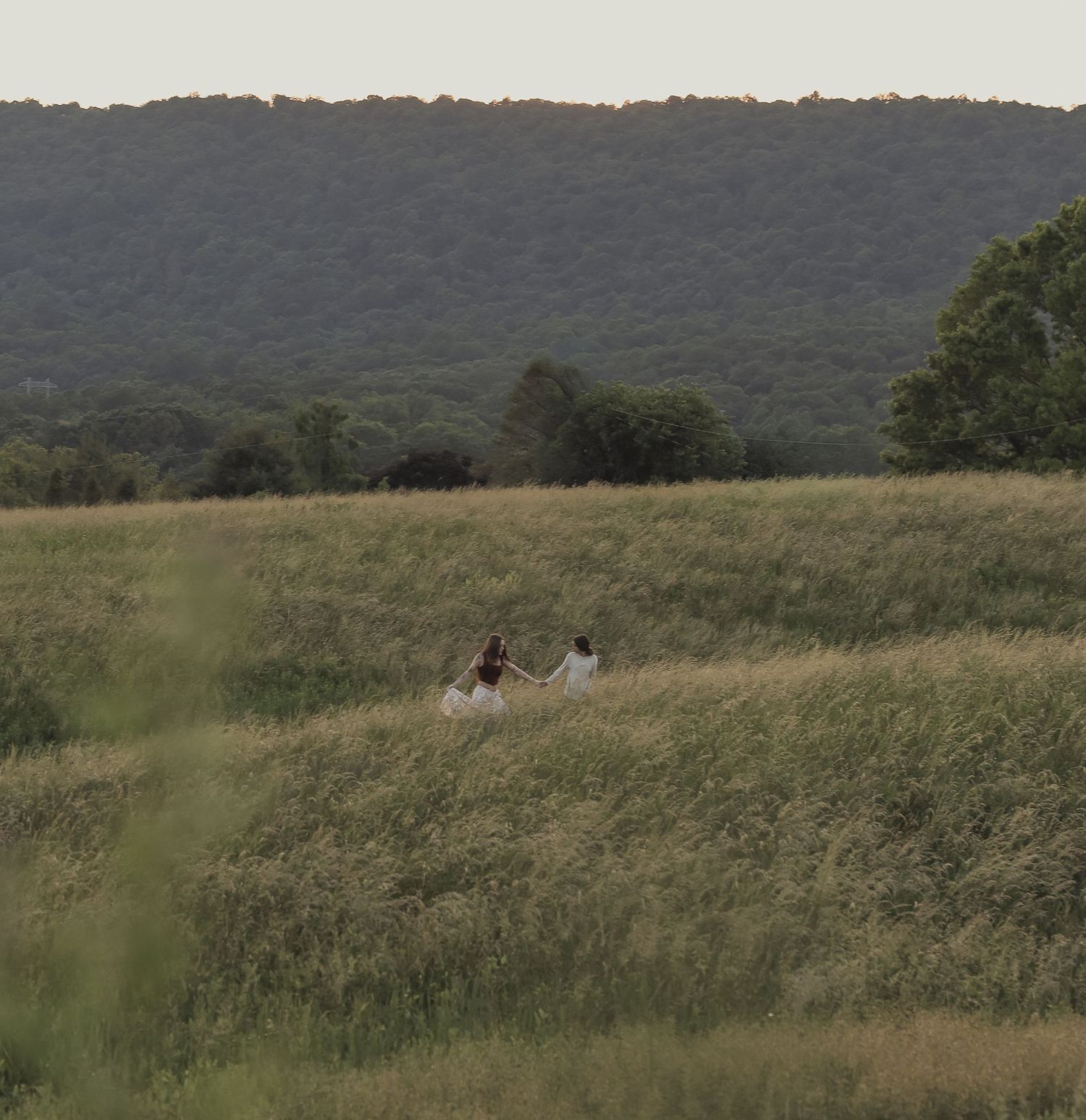 Romantic engagement photo captured in Central Pennsylvania, showcasing genuine connection, love, and timeless moments between couples.