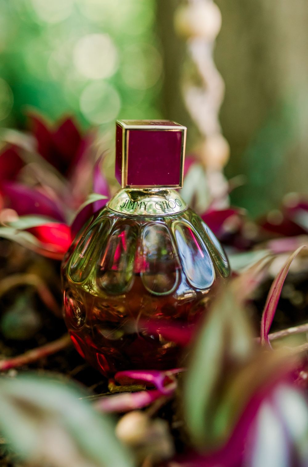 A luxurious round perfume bottle with a ruby red square cap surrounded by vibrant tropical red plants in a lush garden.