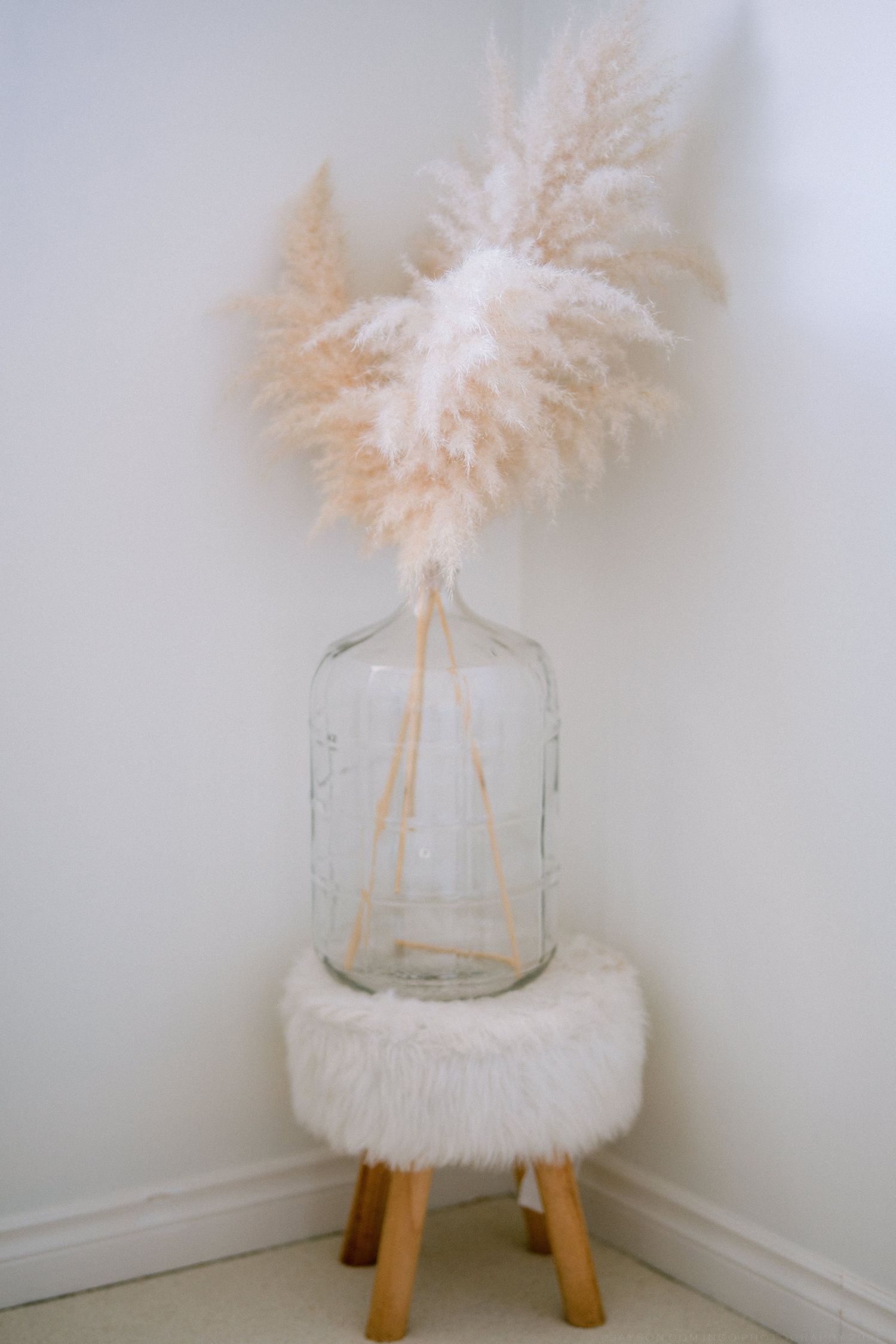 Pampas grass in a clear glass vase on a fluffy white stool in a minimalist white corner.