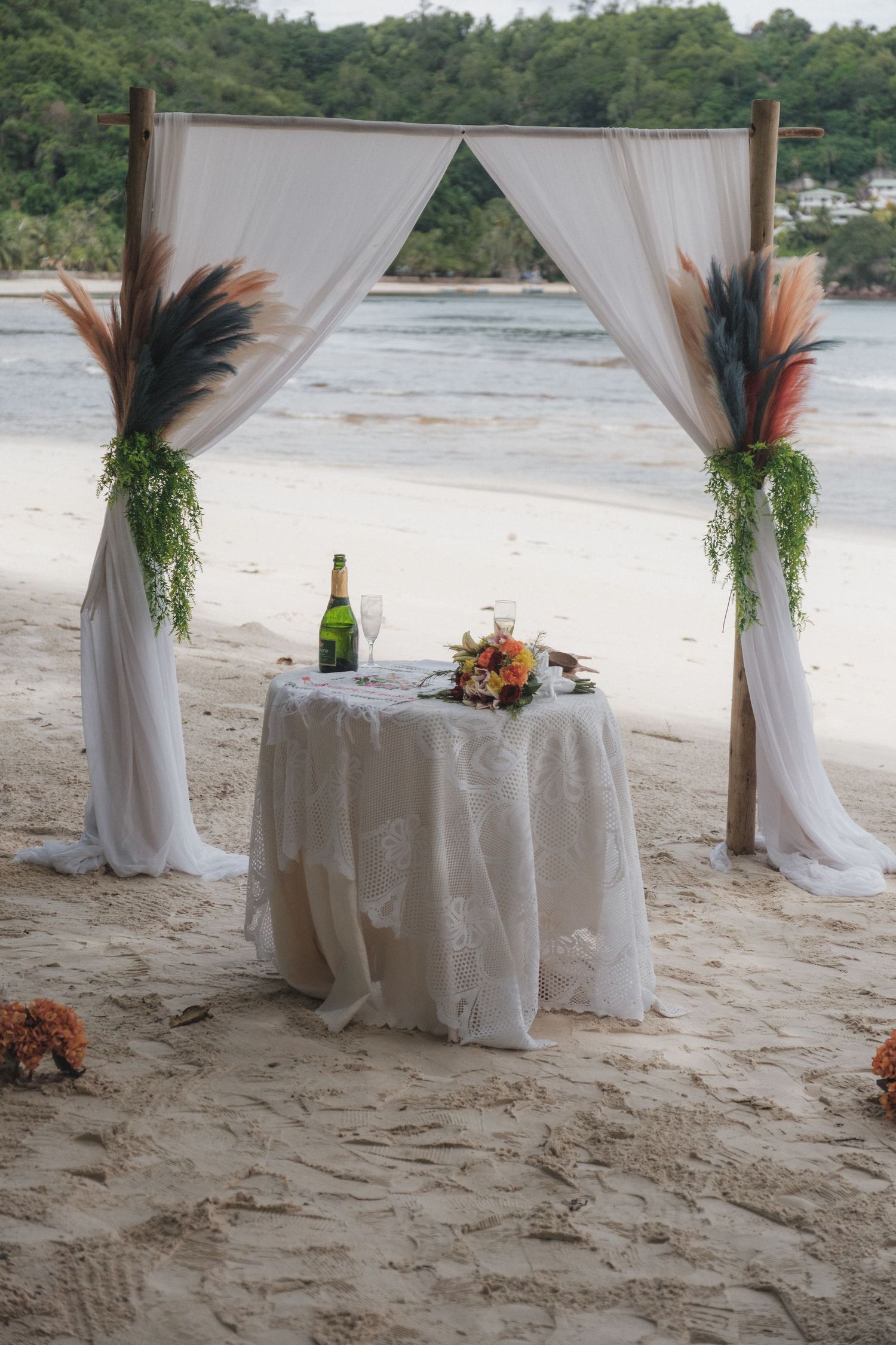 Romantic beach wedding setup with white draped arch, champagne, and colorful pampas grass decorations on sandy shore.