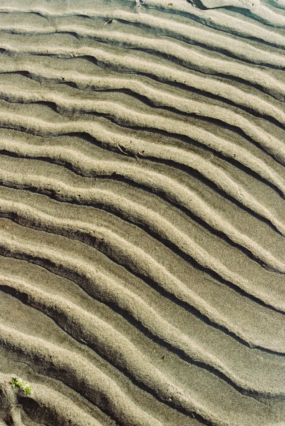 Close-up of rippled sand patterns on a beach, showing natural wave-like textures created by wind or water.