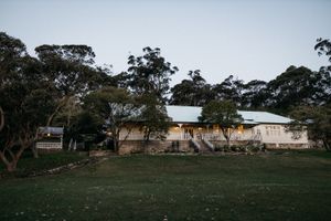 A charming Australian homestead with a green roof surrounded by tall eucalyptus trees on a lush lawn at dusk.