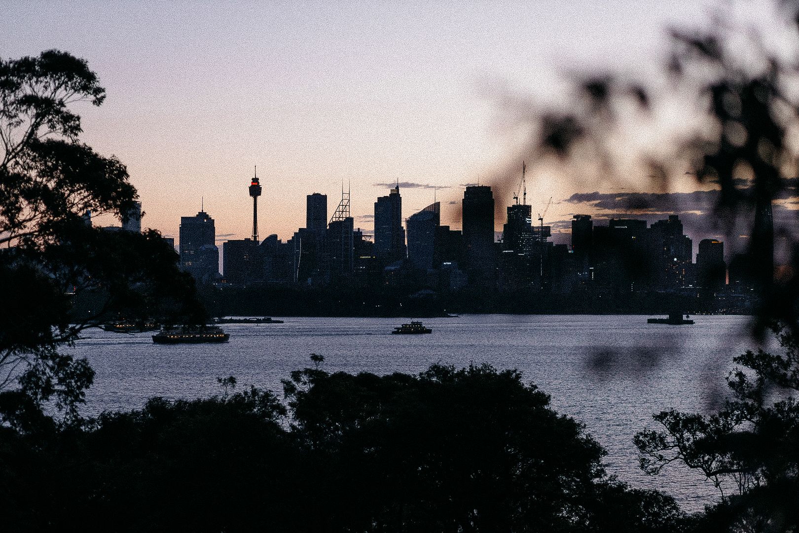 Sydney city skyline silhouetted against a pink dusk sky, viewed across the harbor with boats and framed by dark trees.