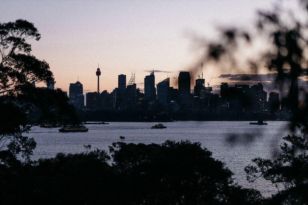 Sydney city skyline silhouetted against a pink dusk sky, viewed across the harbor with boats and framed by dark trees.
