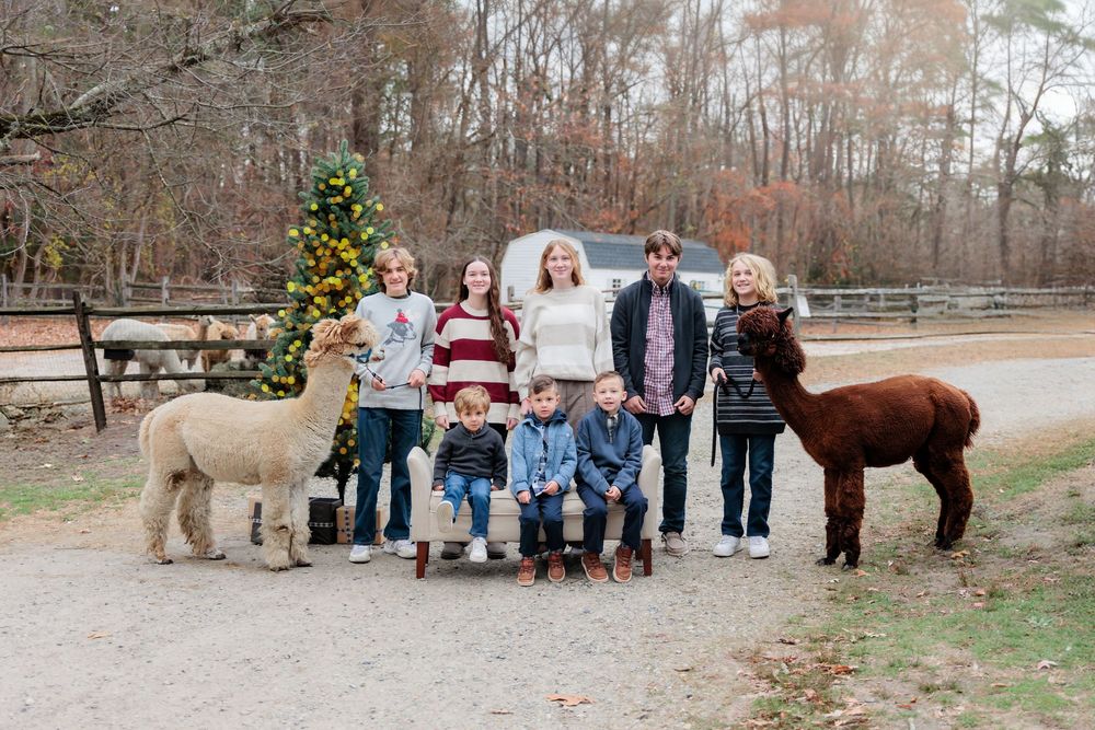 Family posing with alpacas near a Christmas tree at an outdoor farm setting during the holiday season.