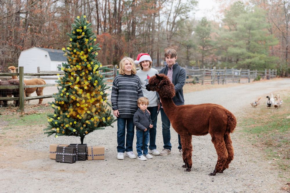 Family posing with a brown alpaca beside a decorated Christmas tree on a farm in autumn.
