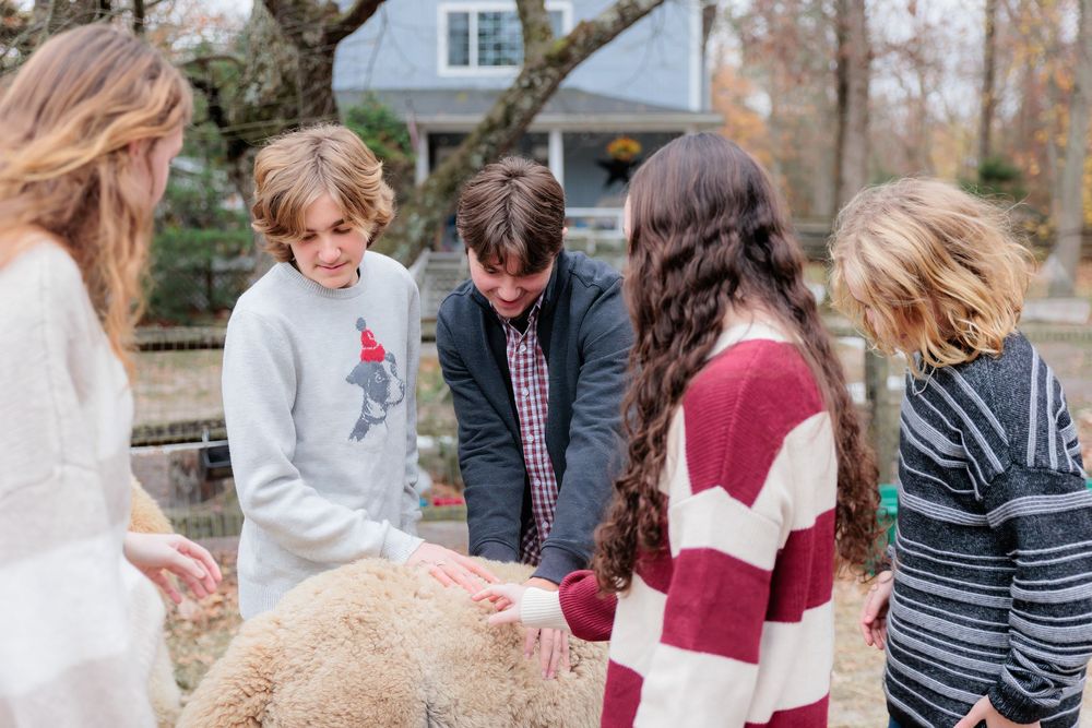 Children petting a fluffy sheep outdoors near a farm fence during an autumn day petting zoo activity.