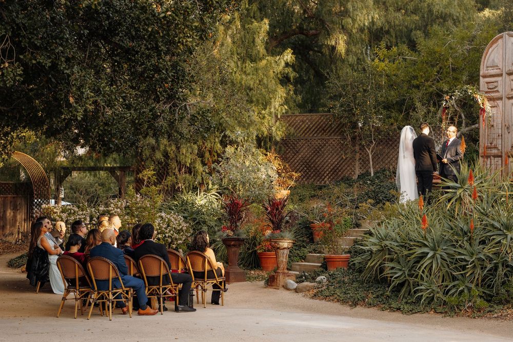 Intimate outdoor garden wedding ceremony with guests seated among lush greenery and potted plants at golden hour.