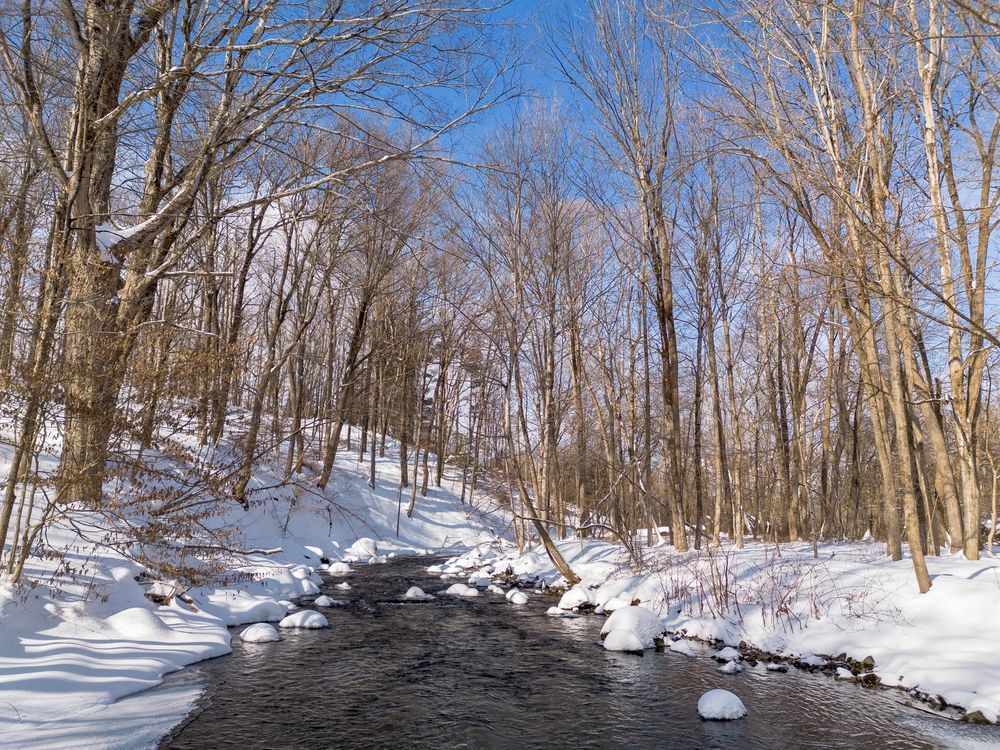 Peaceful winter stream flowing through snow-covered banks lined with bare deciduous trees under blue sky.
