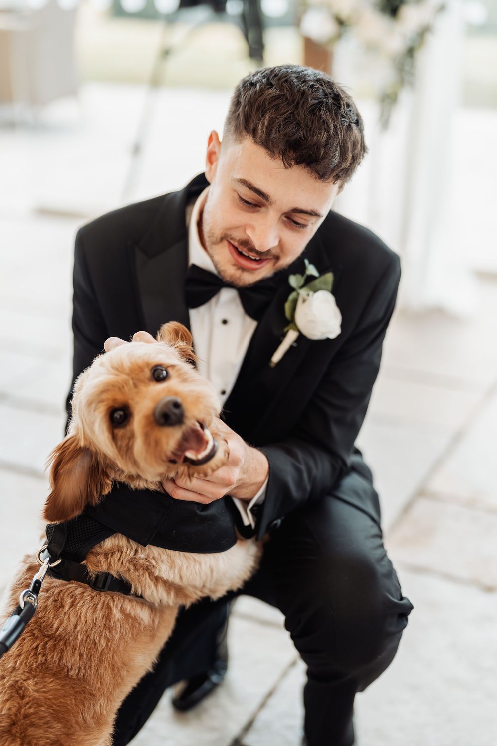 Smiling groom in black tuxedo with white boutonniere crouches to pet a happy golden doodle dog in a matching black bow tie.