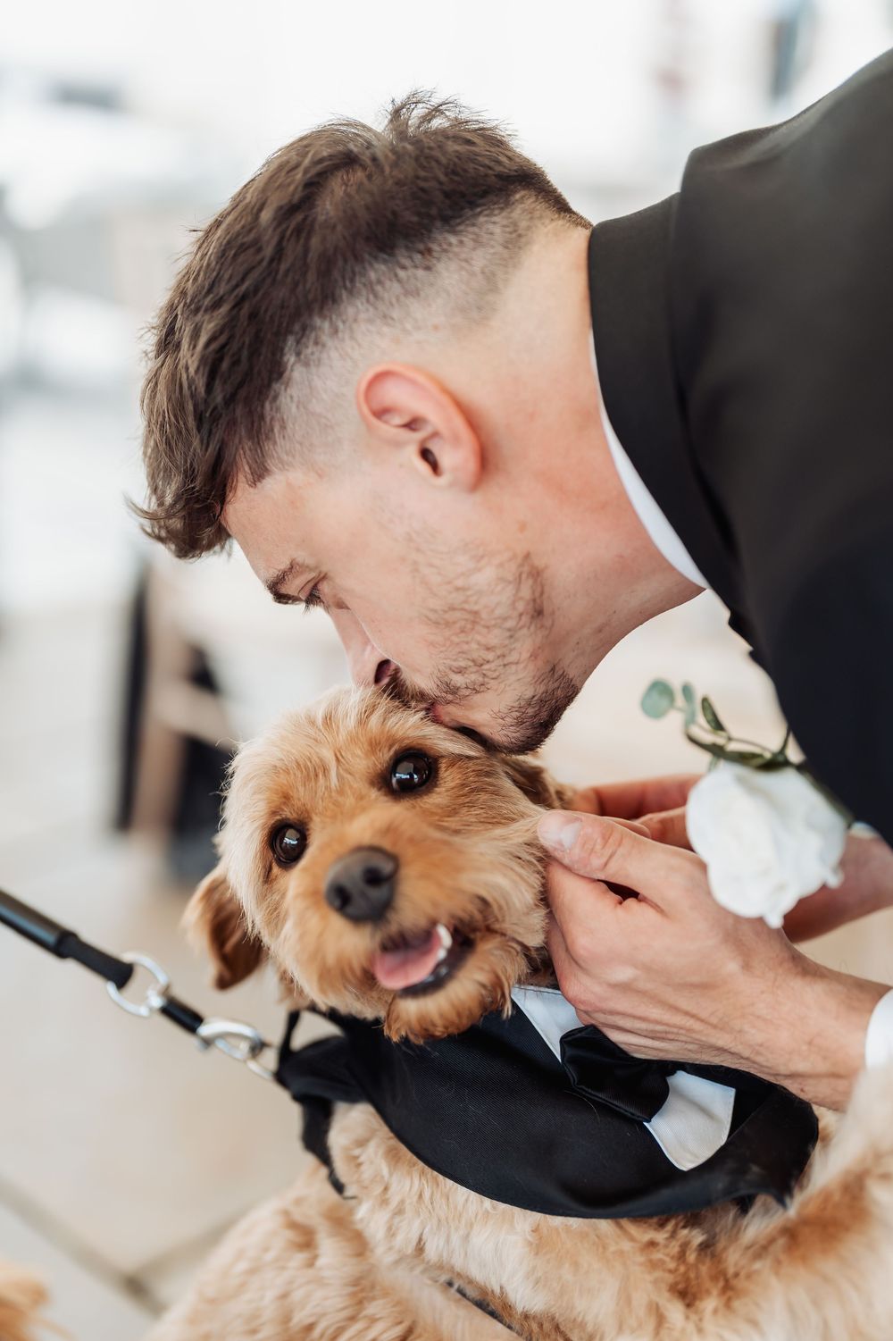 Groom in black tuxedo kissing his small brown dog dressed in a matching tuxedo at a wedding celebration.