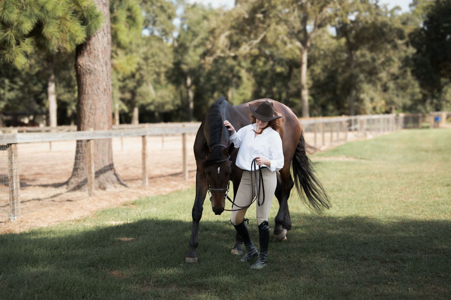 Person in equestrian attire bonding with a dark bay horse on a lush green pasture surrounded by trees.