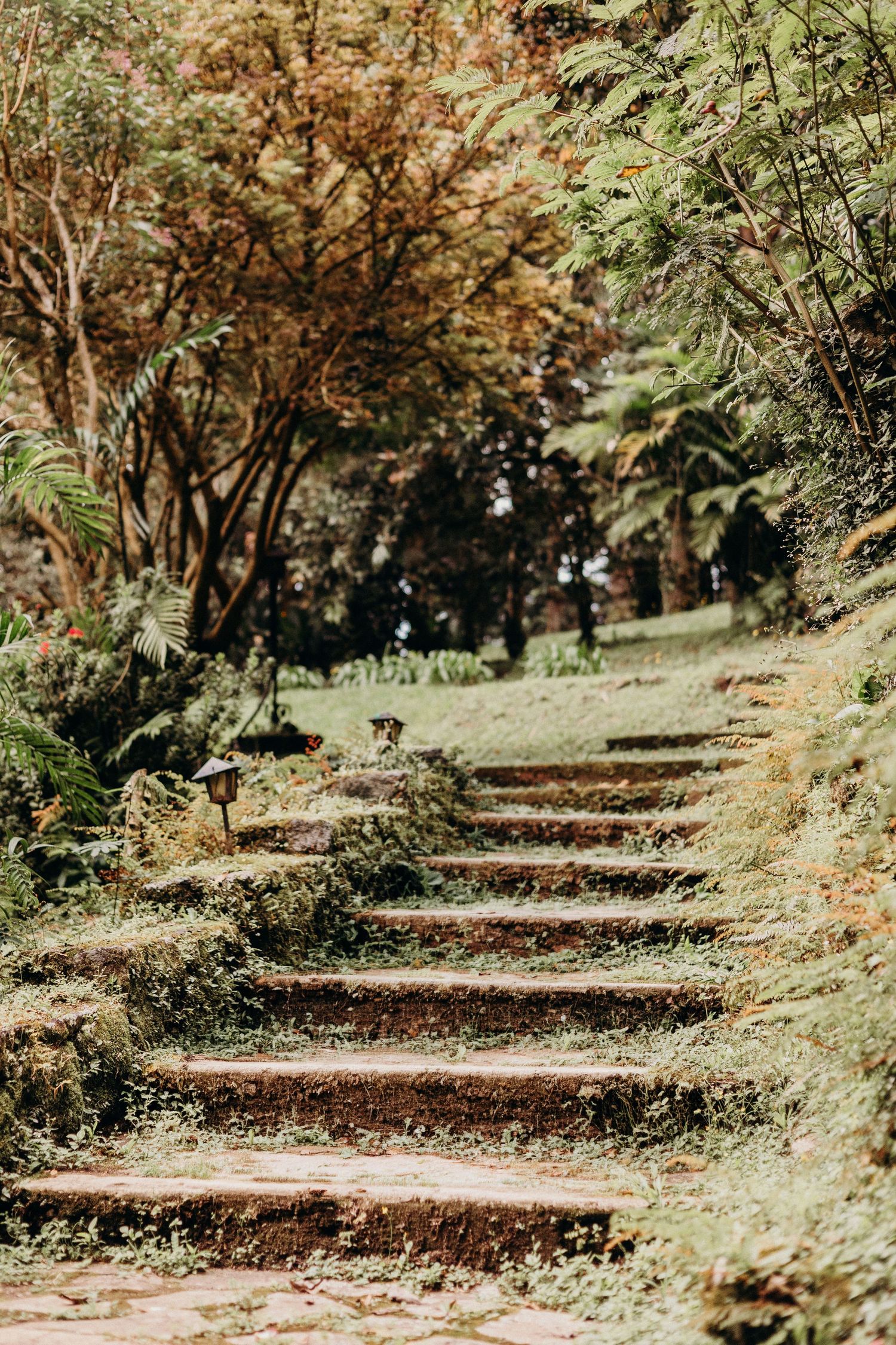 Moss-covered stone steps wind through a lush garden path surrounded by ferns and autumn-hued trees.