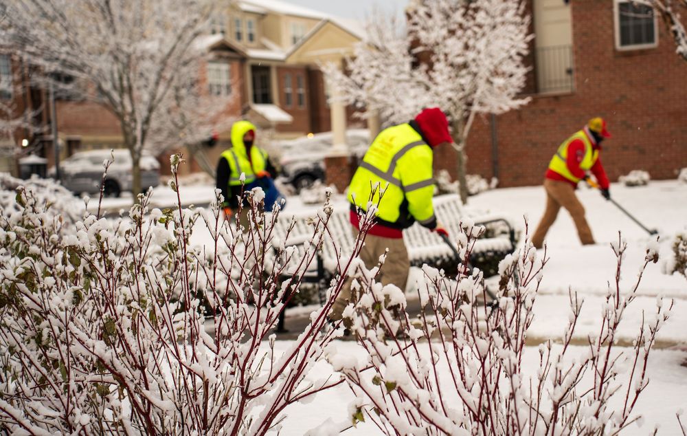 Three workers in yellow safety vests clear snow from a residential landscape with shovels after a winter snowfall.