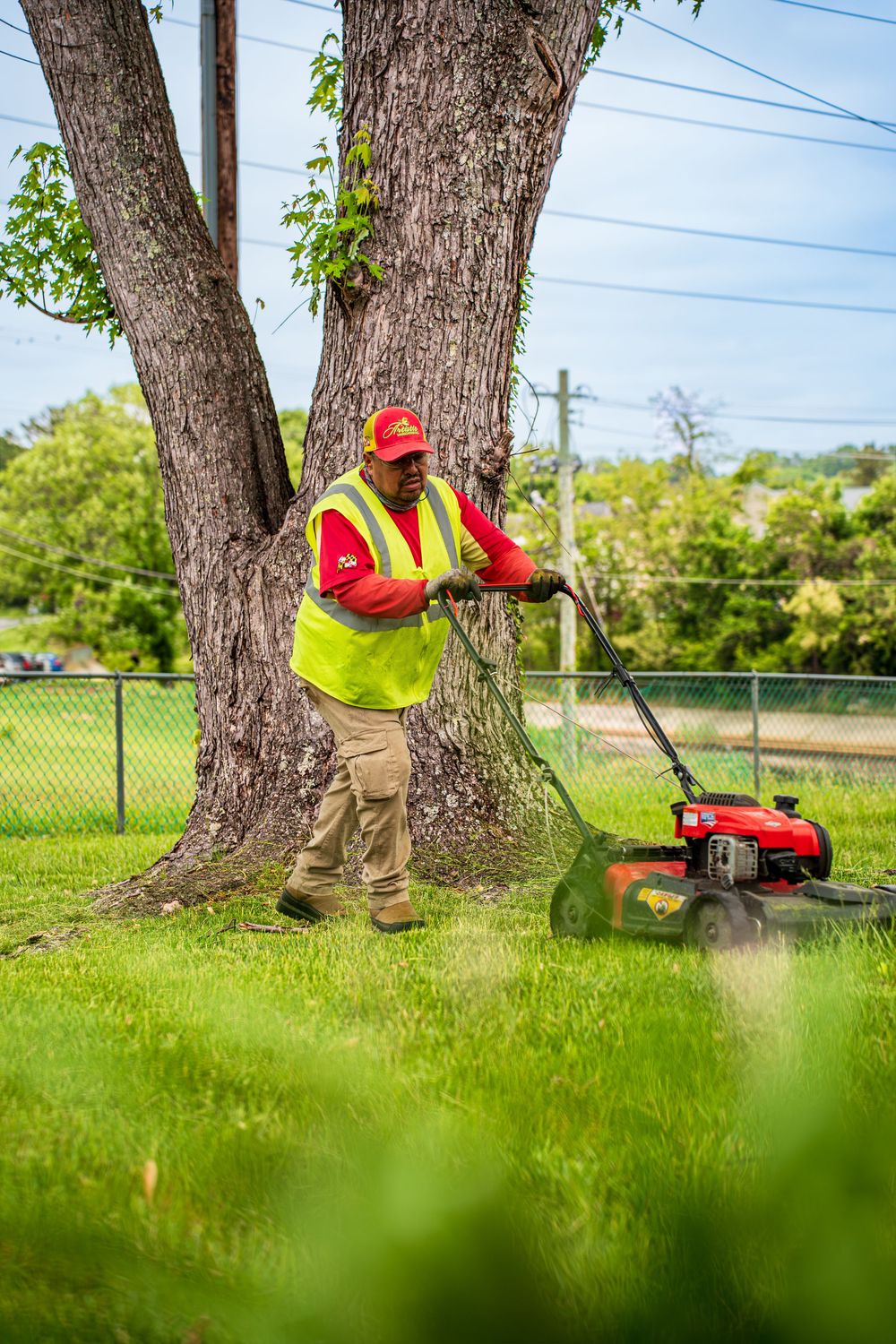 Worker in yellow safety vest and red cap pushes a lawn mower near a large tree on a lush green lawn.