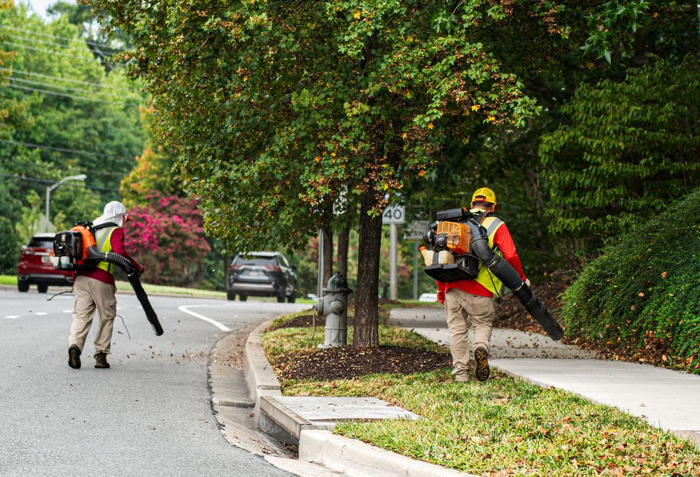 Two workers with backpack leaf blowers clear fallen leaves along a tree-lined suburban street in autumn.