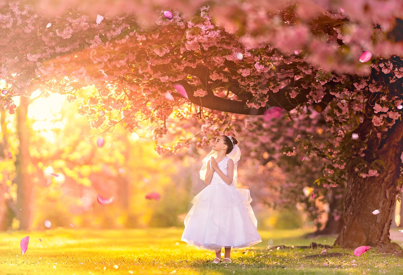 Girl in a white Communion dress posing beneath blooming cherry blossoms in Cherry Hill, New Jersey.