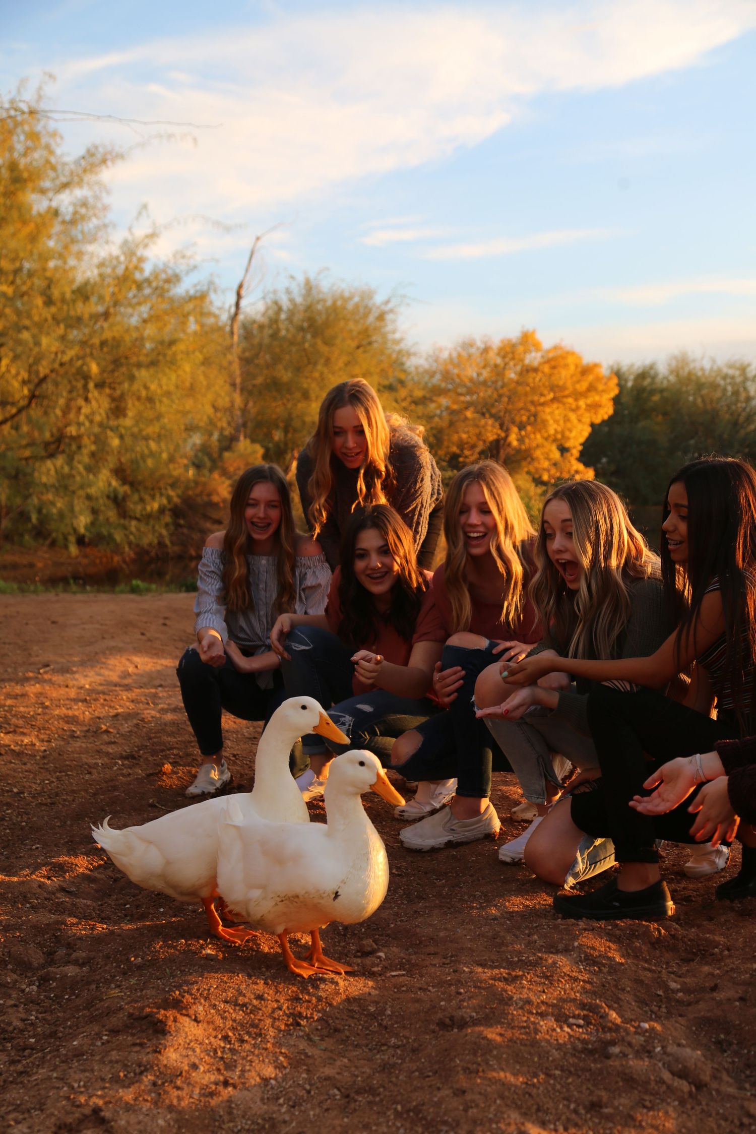 Group of smiling teenage girls sit on the ground at golden hour feeding two white ducks in front of autumn trees.