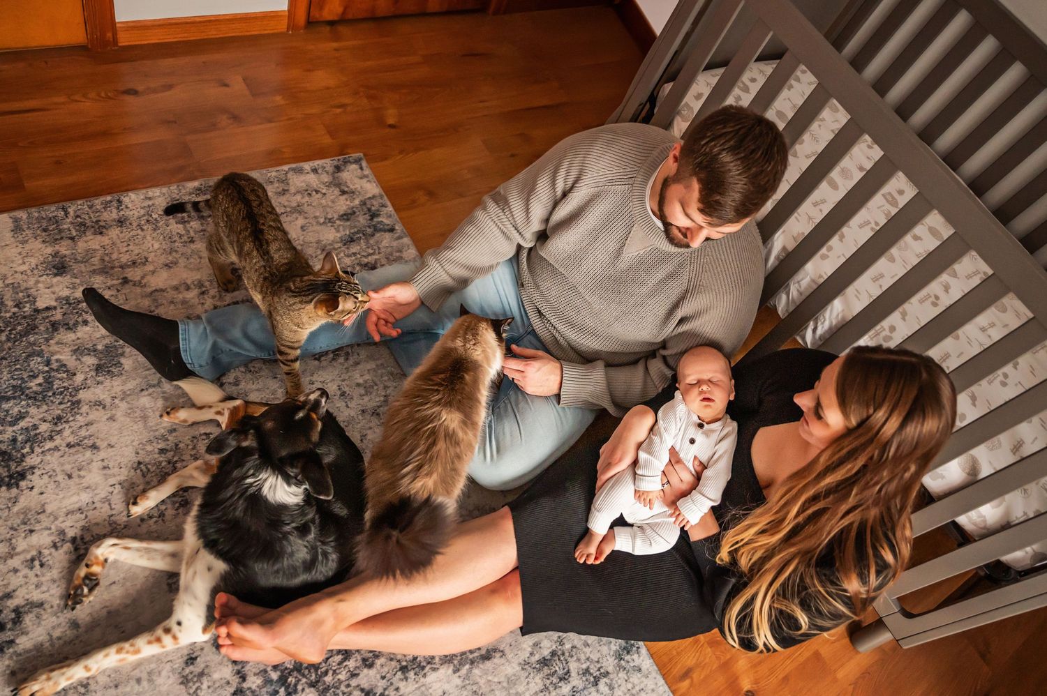 A family relaxes together on a gray rug with their dog in a cozy living room setting.