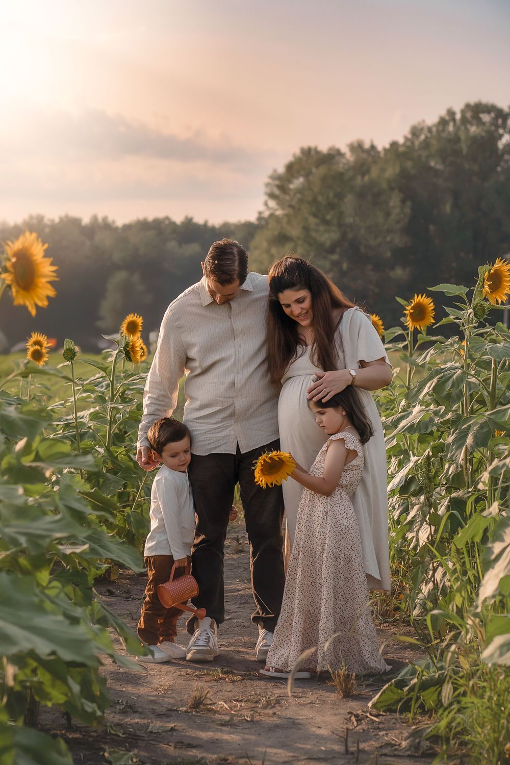 A family walks together through a beautiful sunflower field at sunset creating a magical golden hour moment in the Hudson Valley,NY.