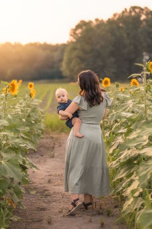 A gentle moment in a sunflower field at sunset with soft golden light filtering through the flowers.
