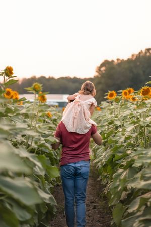 Walking through rows of tall sunflowers at sunset on a peaceful dirt path.
