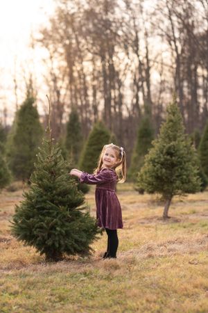 Young child in velvet dress stands near evergreen trees at a Christmas tree farm during golden hour.