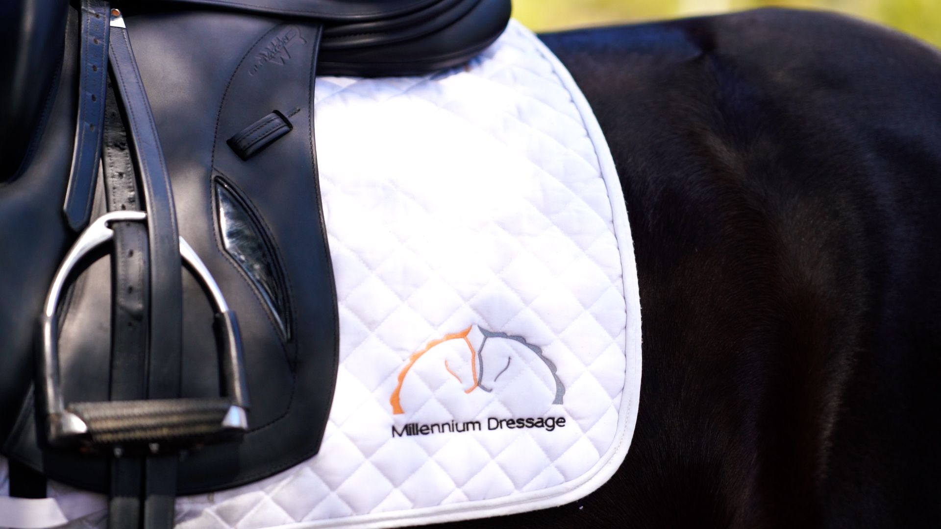 White quilted saddle pad with black trim and logo on horse's back.