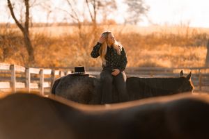 Equestrian photographer capturing shots during golden hour at horse farm.