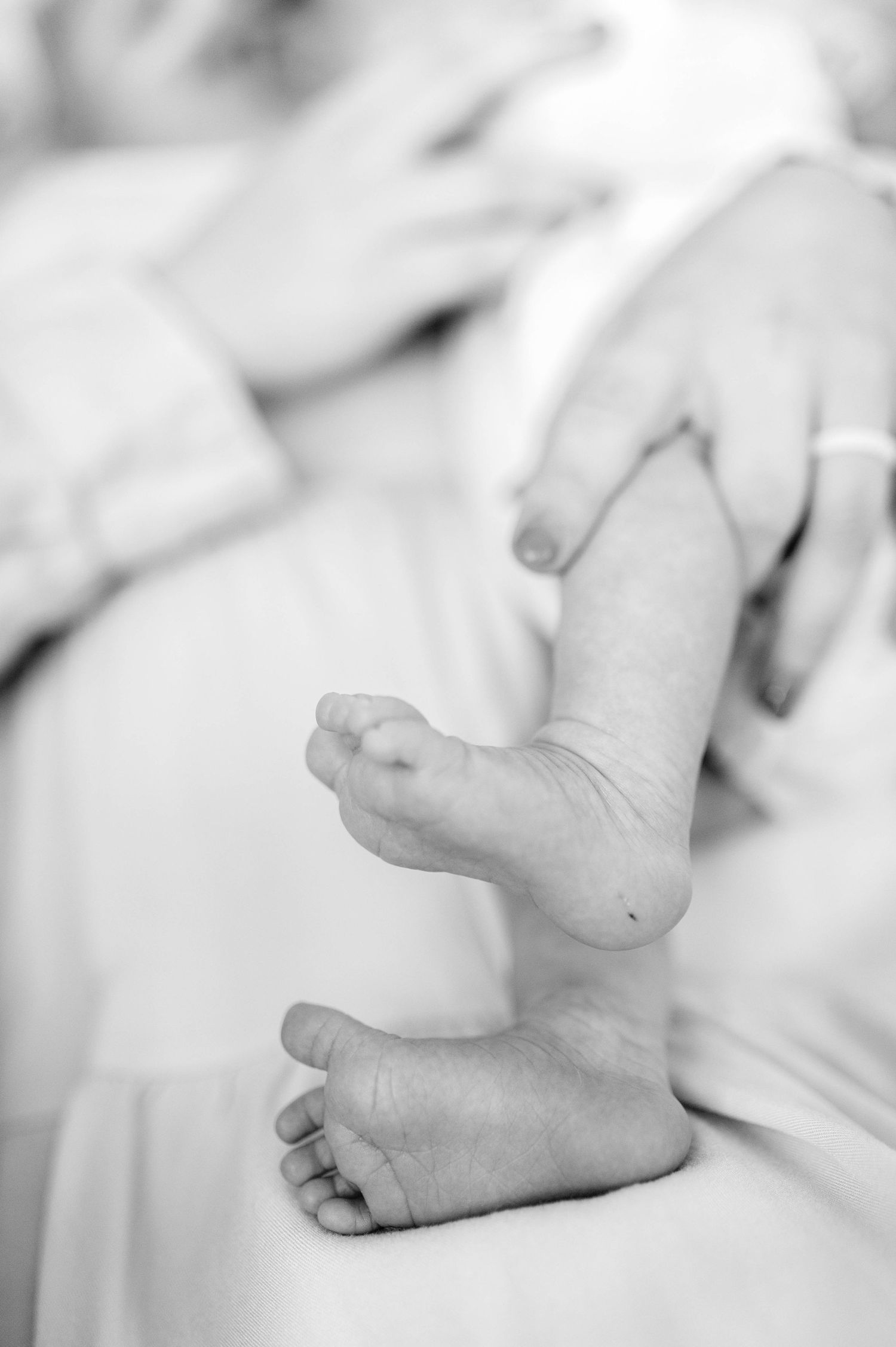 family and newborn photos, newborn photography