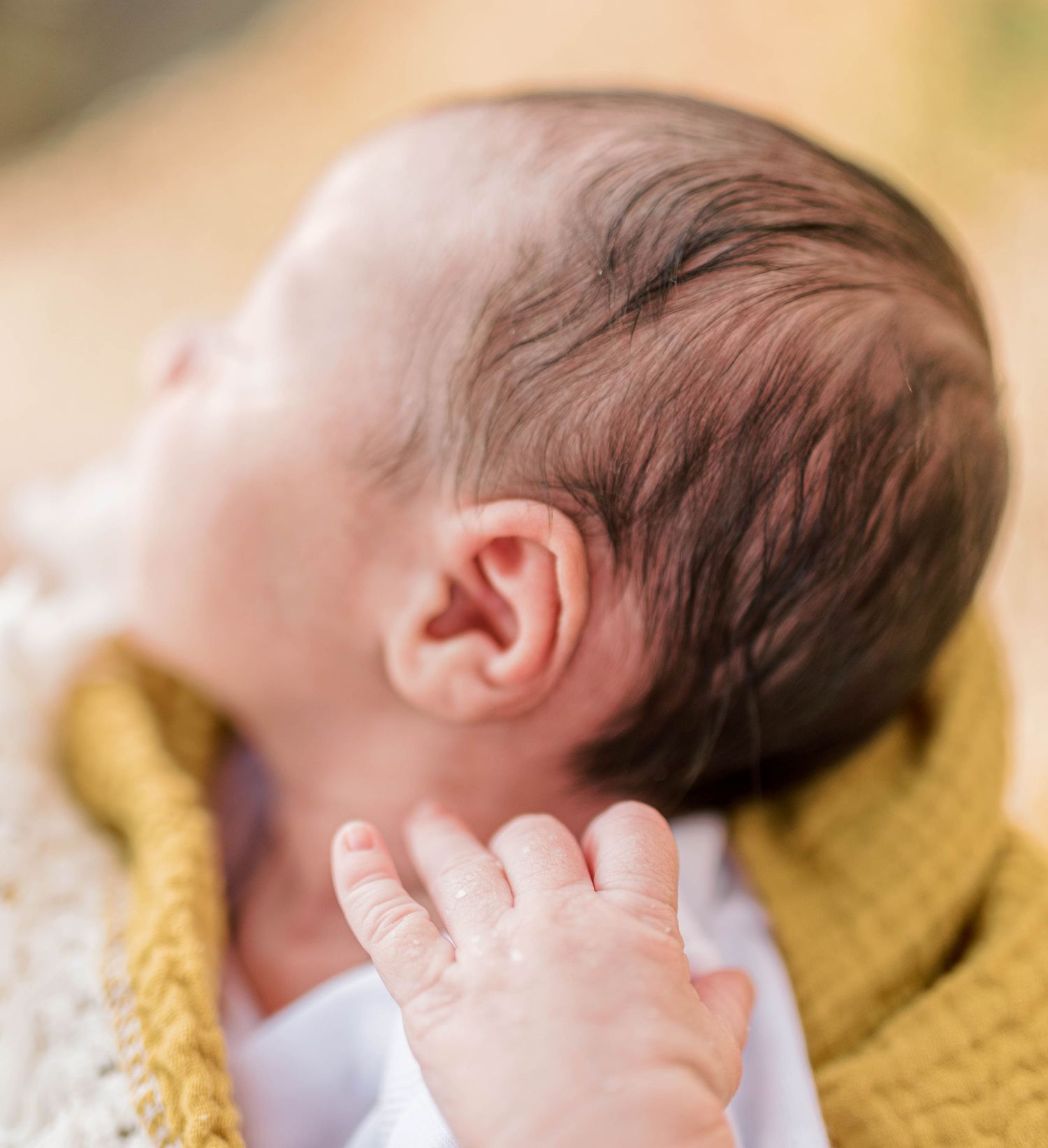 family and newborn photos, newborn photography