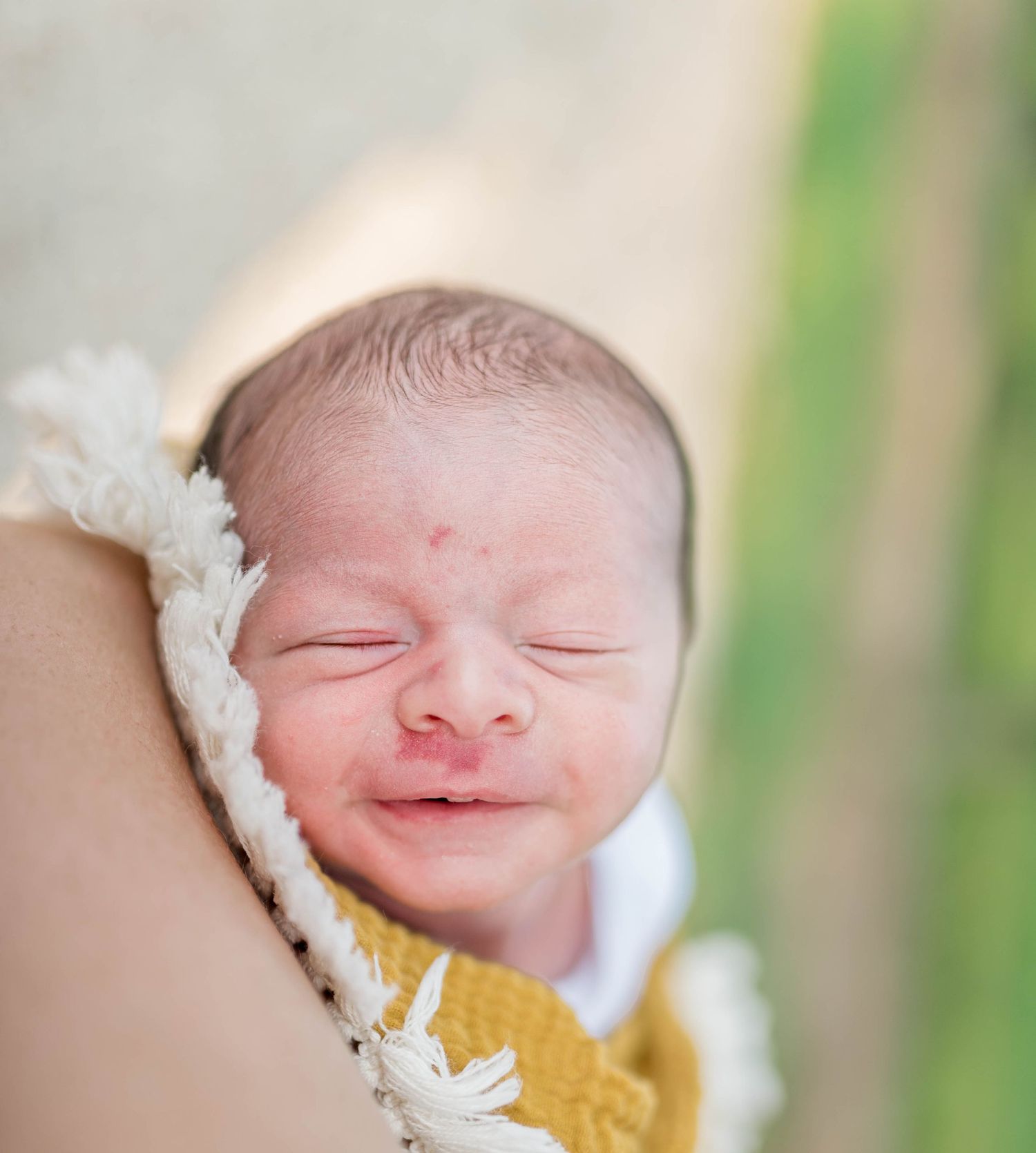 family and newborn photos, newborn photography