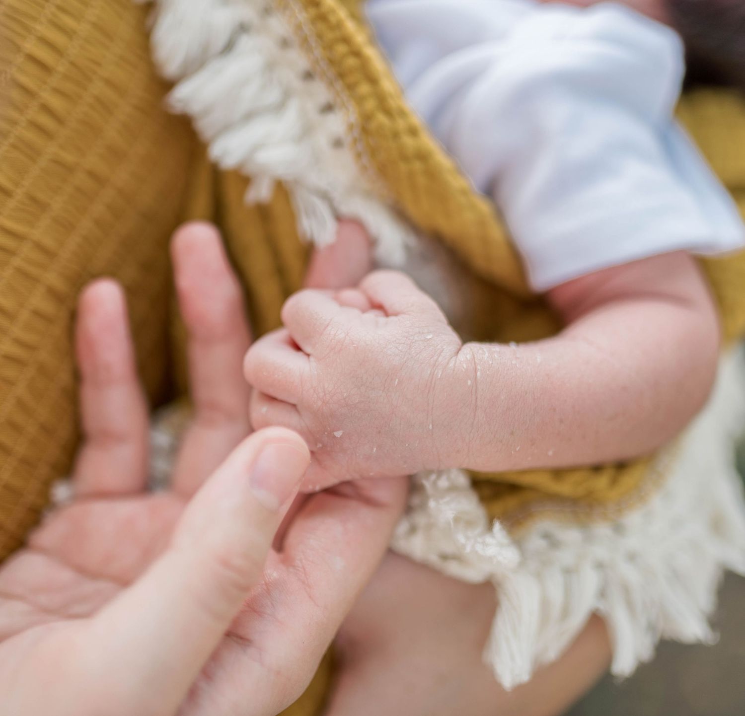 family photos, family photography