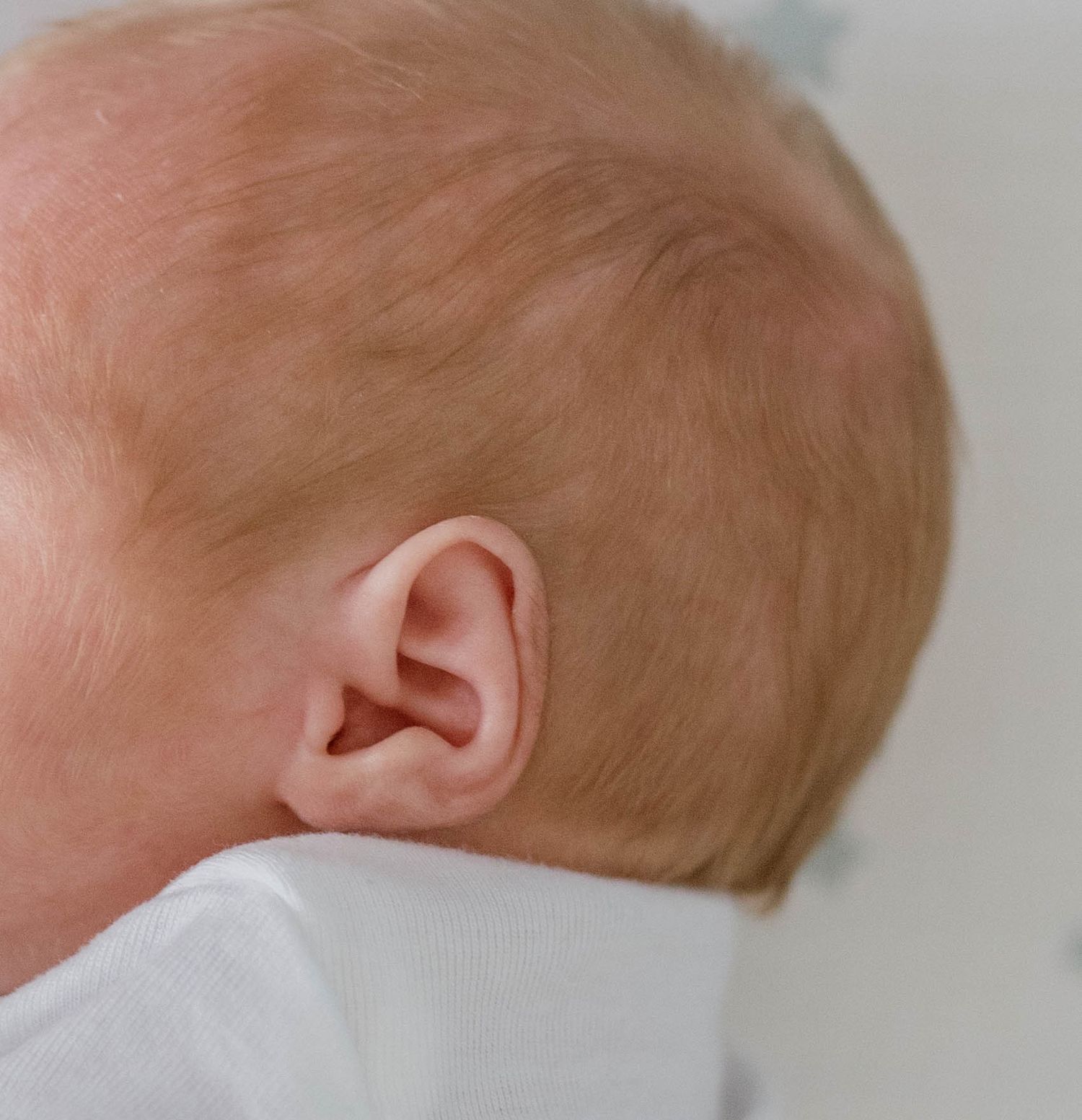 family and newborn photos, newborn photography