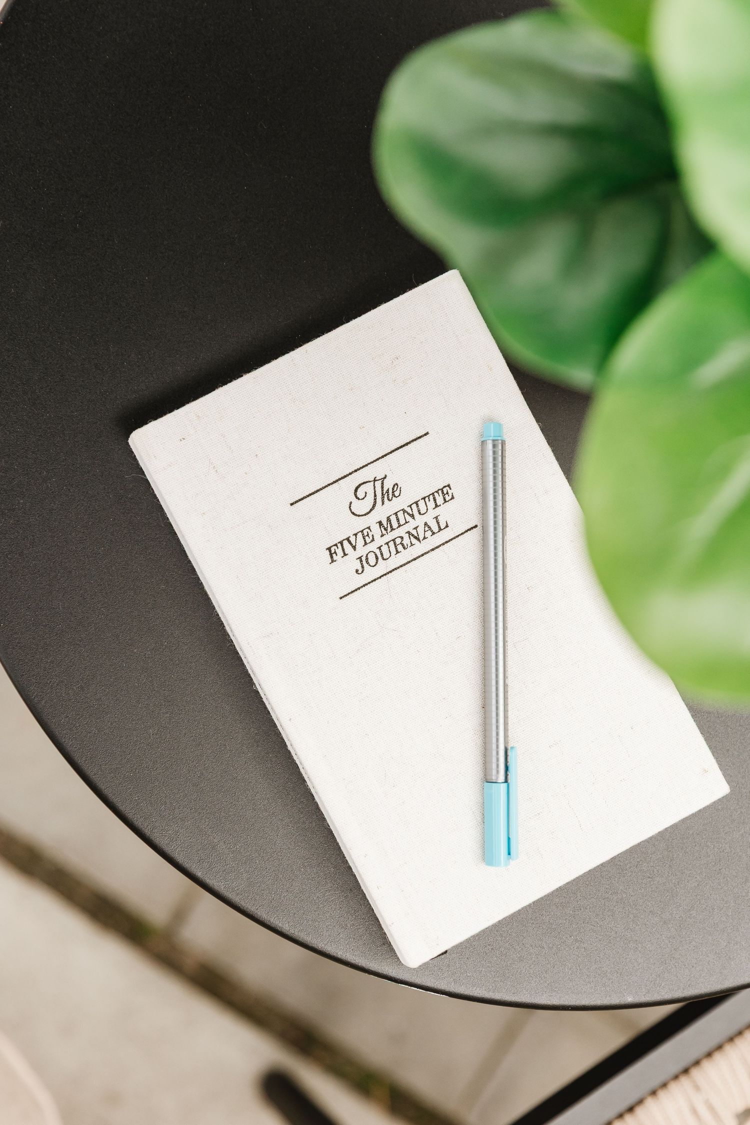 White notepad and blue pen arranged on dark surface with green plant leaves in background.