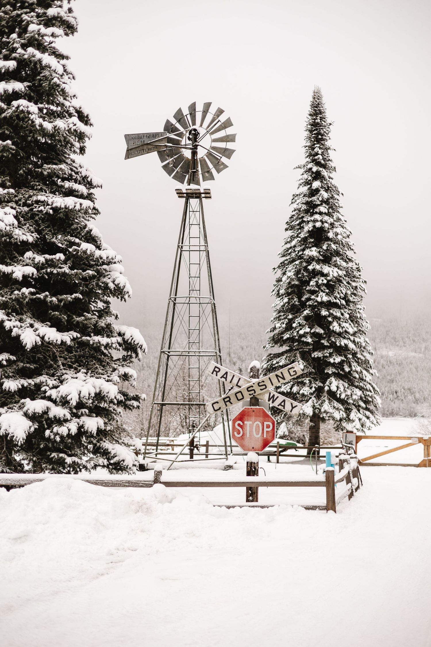 Snow covered landscape with tall windmill and evergreen trees in winter scene.